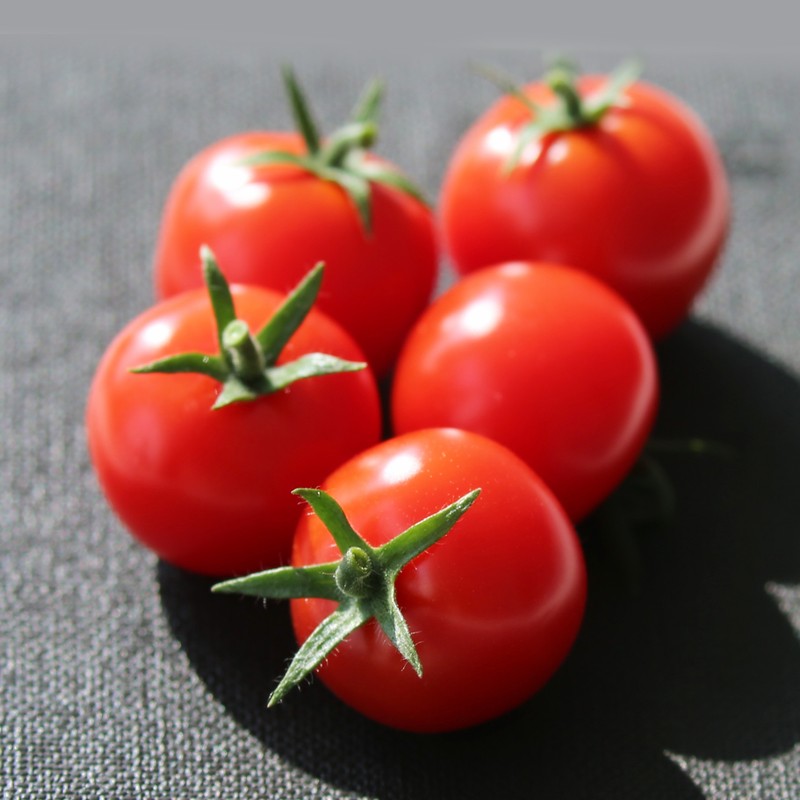 137银河galaxy(浏览器)官网 - APP下载入口