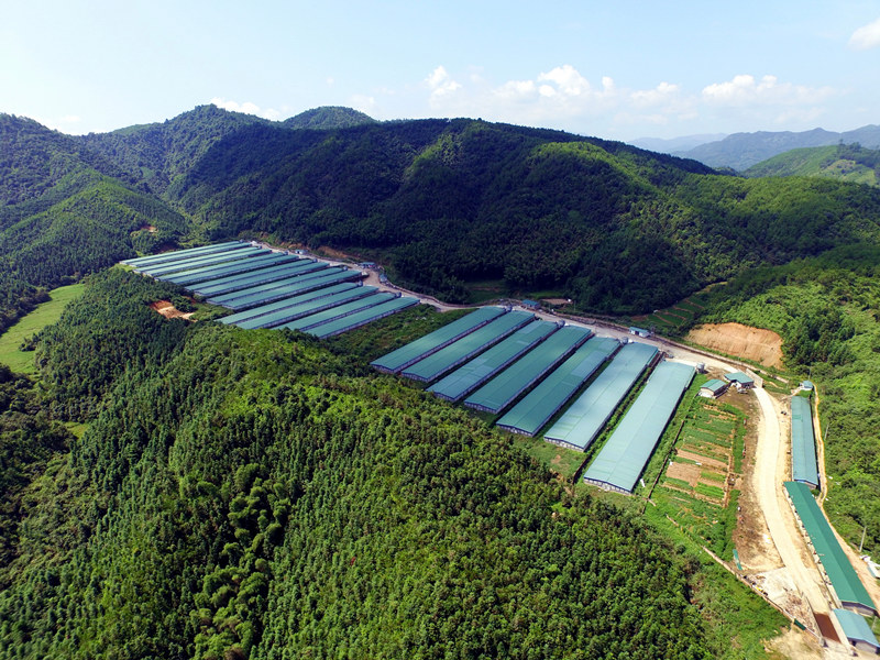 137银河galaxy(浏览器)官网 - APP下载入口