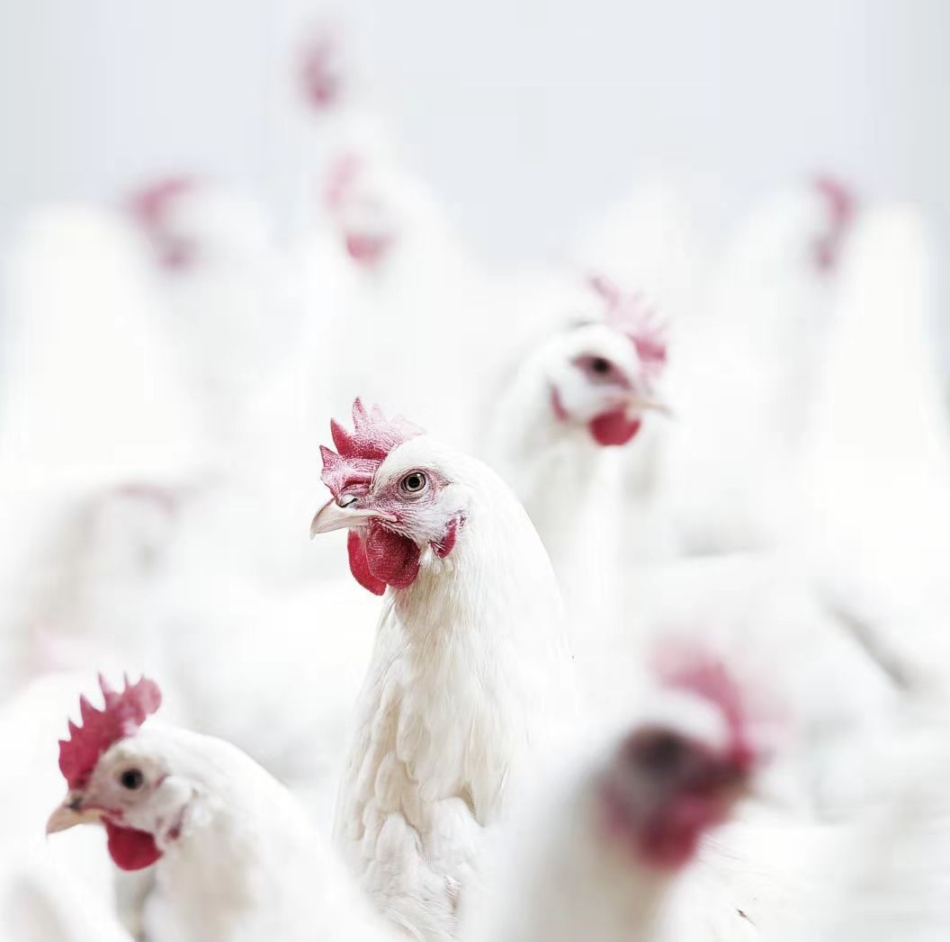 137银河galaxy(浏览器)官网 - APP下载入口