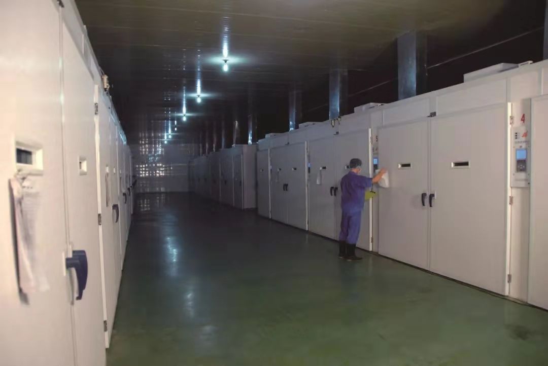 137银河galaxy(浏览器)官网 - APP下载入口