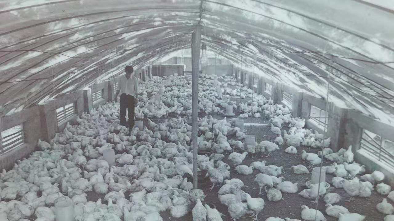 137银河galaxy(浏览器)官网 - APP下载入口