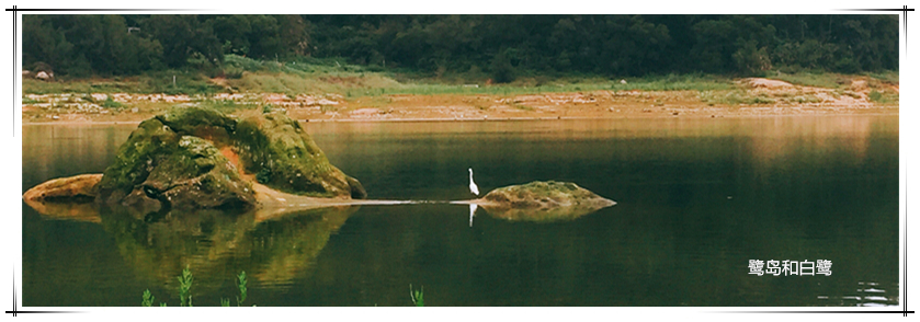 137银河galaxy(浏览器)官网 - APP下载入口