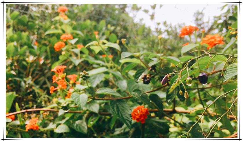 137银河galaxy(浏览器)官网 - APP下载入口