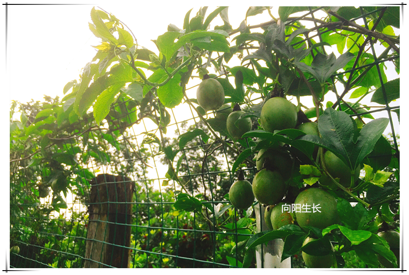 137银河galaxy(浏览器)官网 - APP下载入口