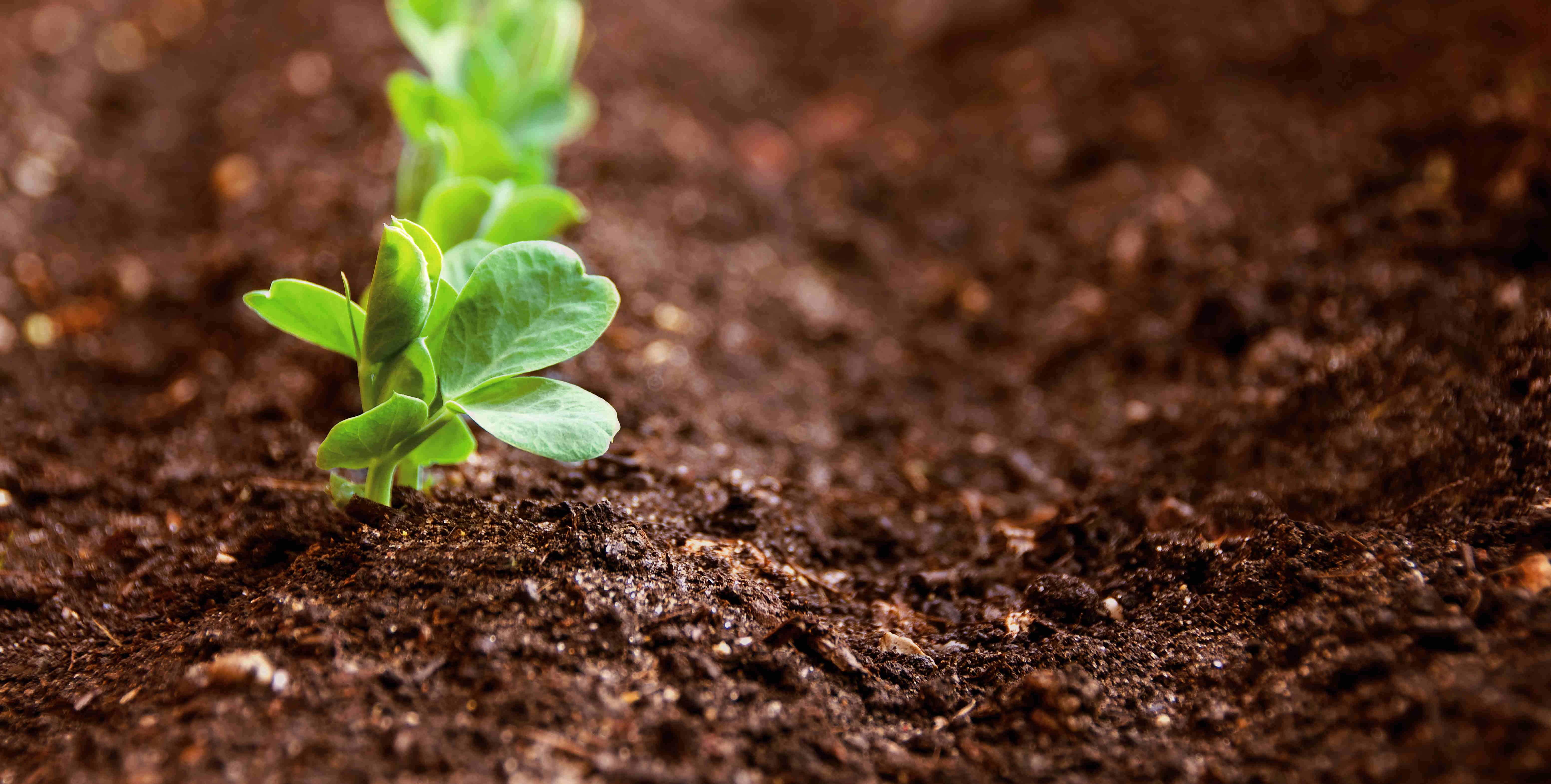 137银河galaxy(浏览器)官网 - APP下载入口