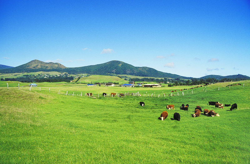 137银河galaxy(浏览器)官网 - APP下载入口