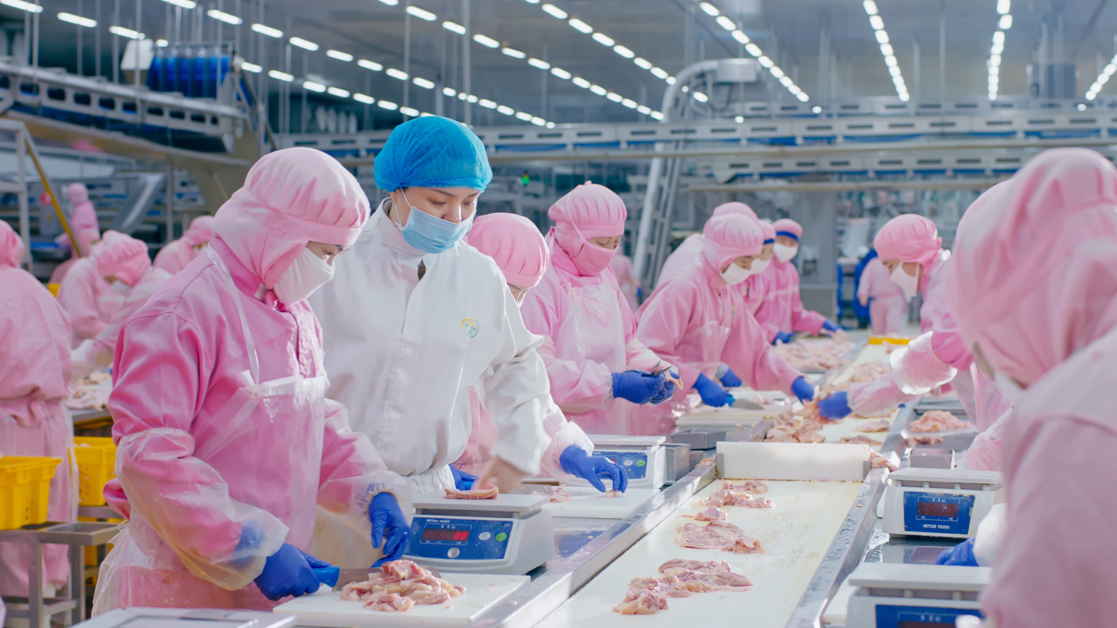 以人为本，，，，，携手员工配合生长